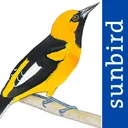 All Birds Ecuador field guide app icon