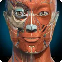 Anatomy Learning - 3D人体解剖図 app icon