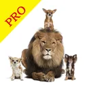 Animal Sounds Pro & Bird Noise app icon