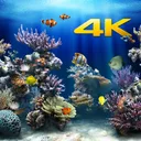 Aquário 4K app icon