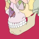 Body coloring book app icon