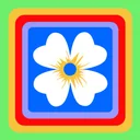 Bohema app icon