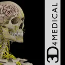 Brain & Nervous System Pro III app icon