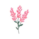 Controle de Gastos - Fleur app icon