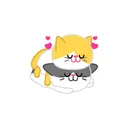 Cute baby cat ver.love app icon