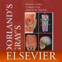 Dorland’s Medical Dictionary app icon