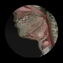 Dysphagia app icon