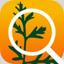 Foraging with the "Wildman" app icon