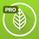Garden Plate Pro app icon