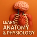 Learn Anatomy and Physiology app icon