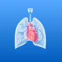 Lung Heart Sounds app icon