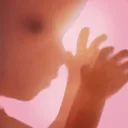 Pregnancy + | Tracker App app icon