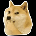 Shiba Dog Meme app icon