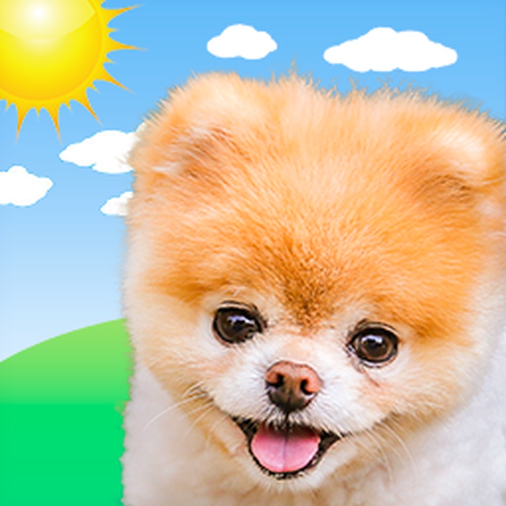 Boo Weather: Pomeranian Puppy app icon captured 2026-08-14
