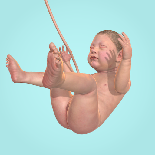Idle 9 Months Google Play icon captured 2026-08-13