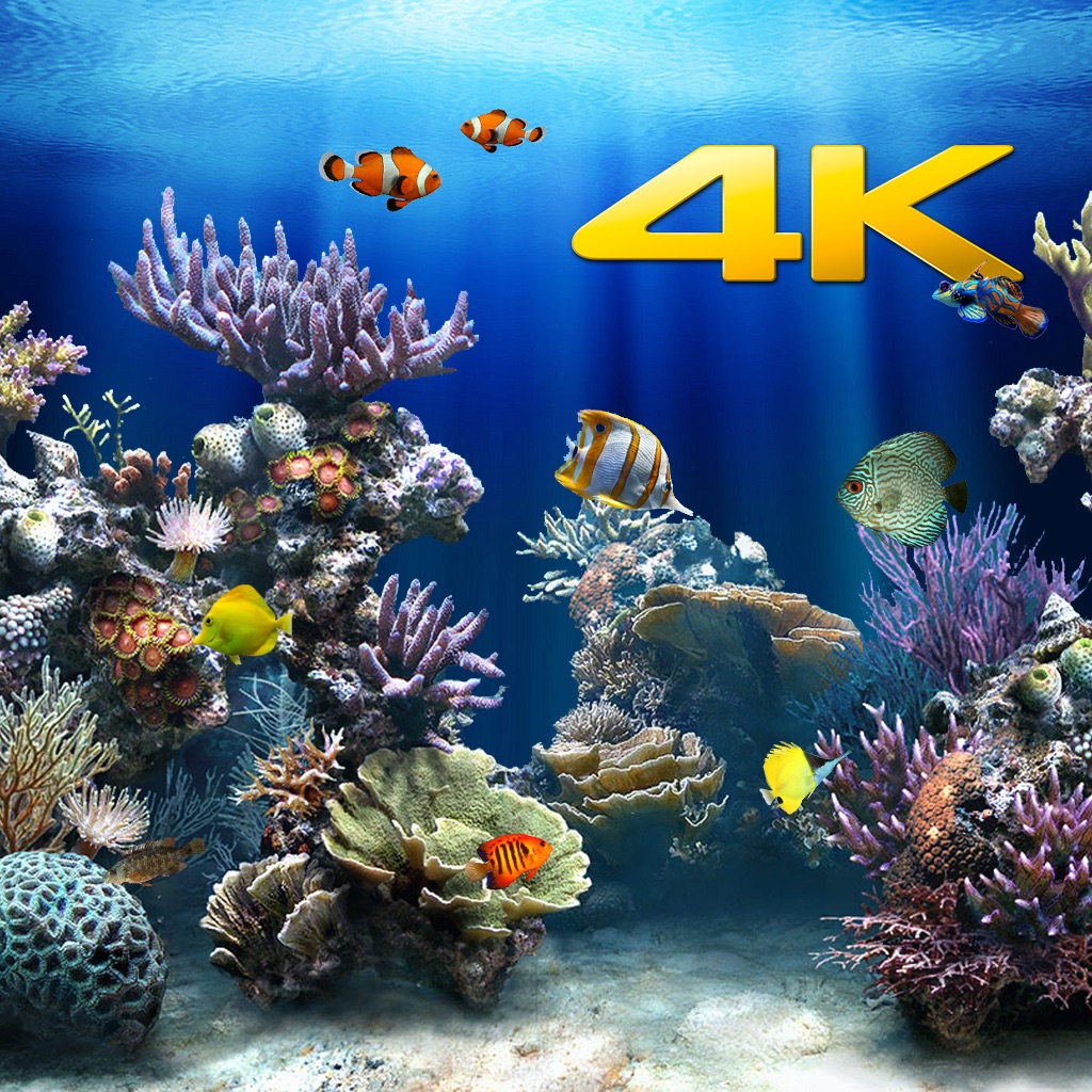 Aquário 4K app icon captured 2026-08-13