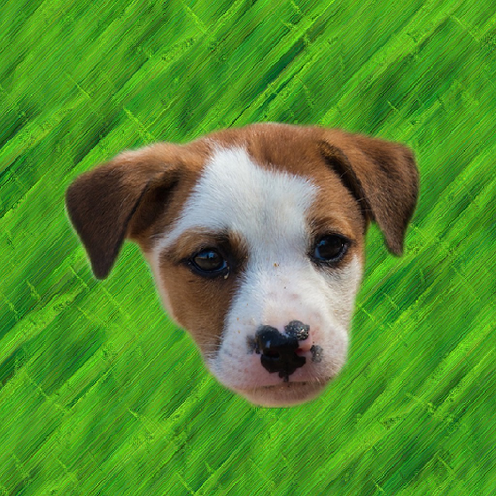 Cute Puppy - Stickers app icon captured 2026-08-14