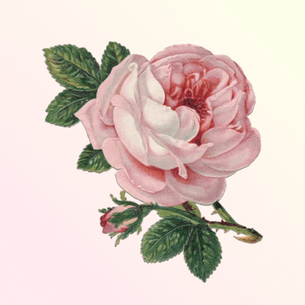 Classical Birthday app icon