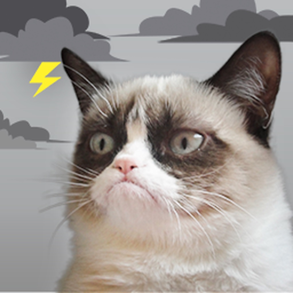 Grumpy Cat's Funny Weather app icon captured 2026-08-14
