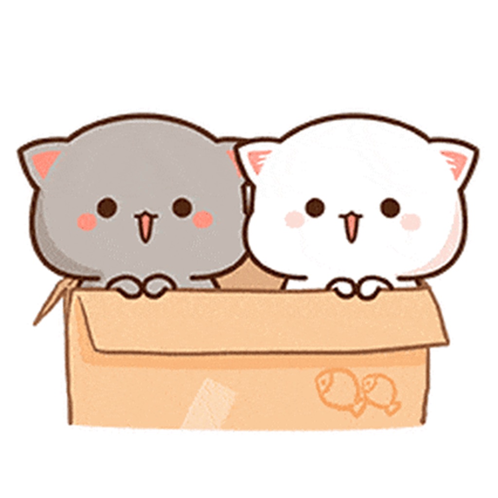 Kitty Life Sticker app icon captured 2026-08-12