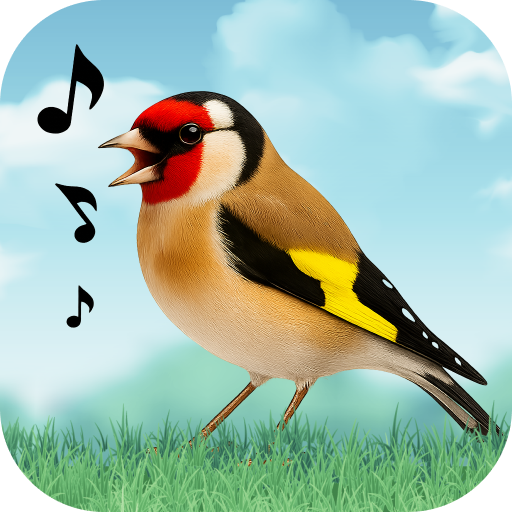 Birds Sounds Google Play icon captured 2026-08-13