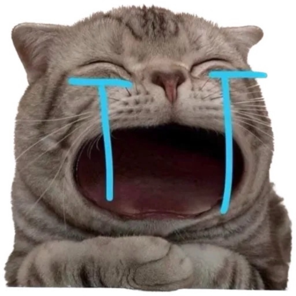 Cute Cat Meme app icon captured 2026-08-12