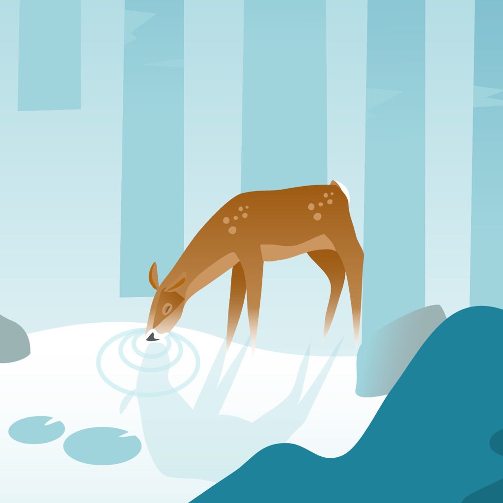 Wildfulness: Meditate & Relax app icon captured 2026-08-12