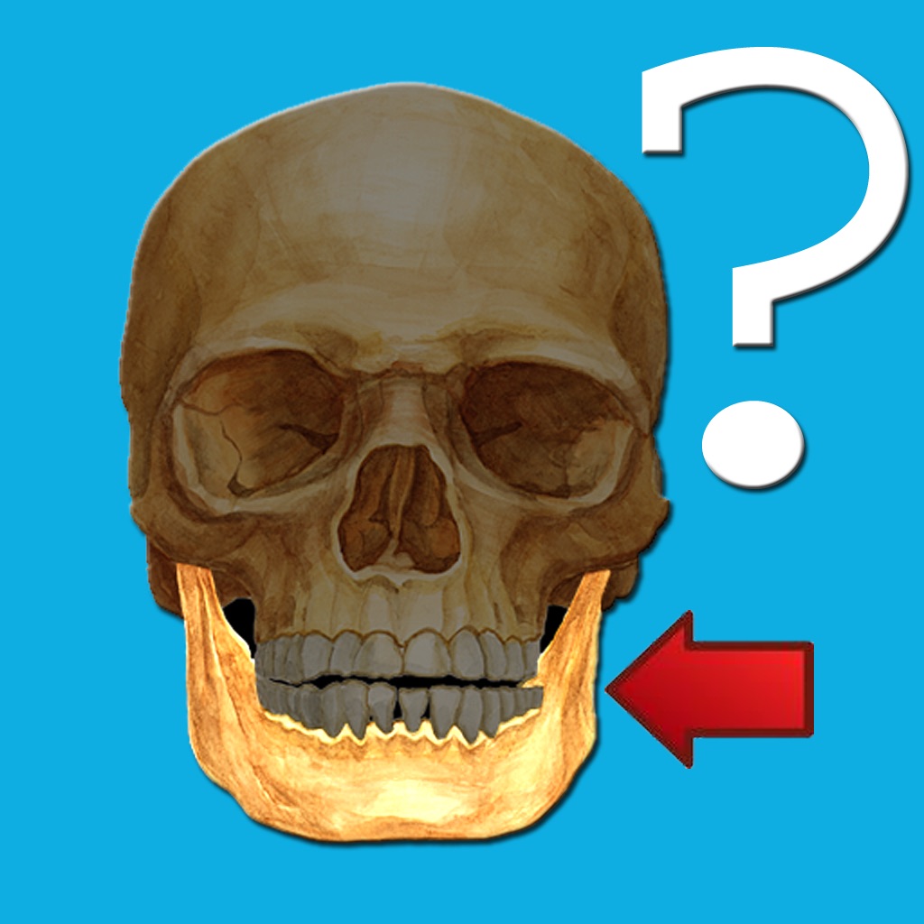 Anatomy Quiz app icon