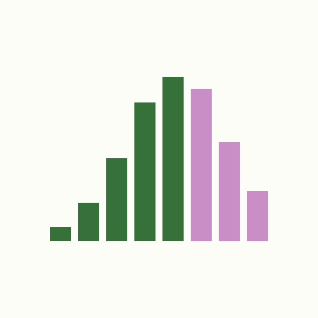 RetirePlan app icon captured 2026-08-12
