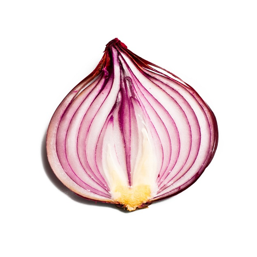 Onion Search Engine app icon captured 2026-08-18