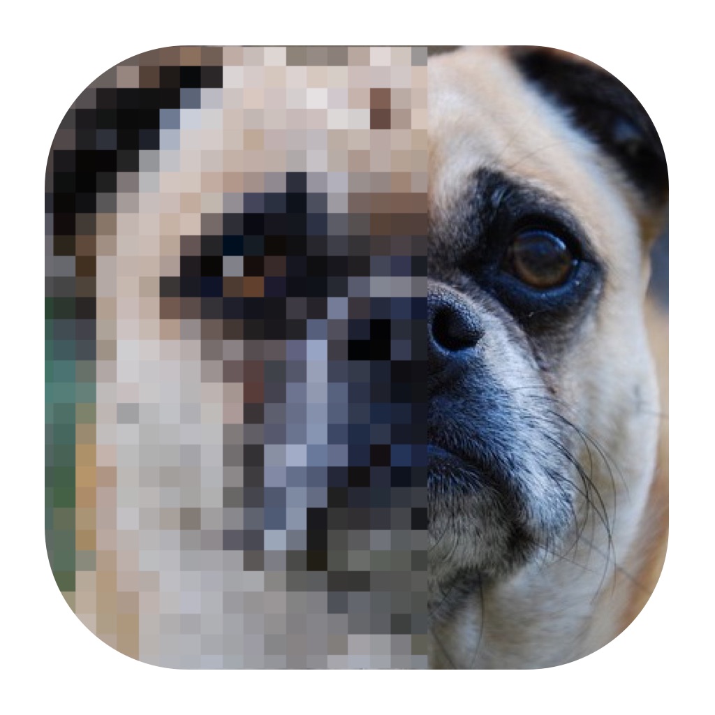 Image to Pixel Art app icon captured 2026-08-11