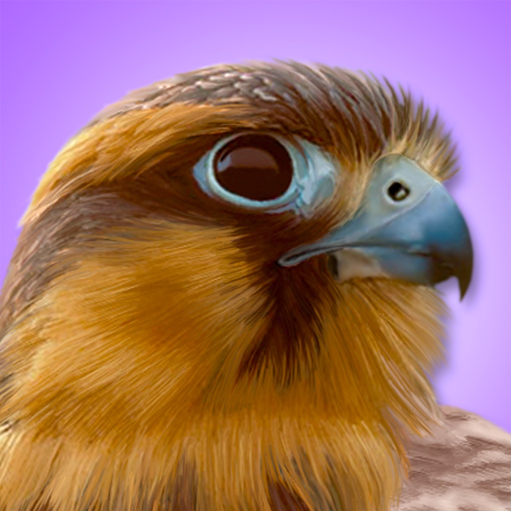 iBird Pro Guide to Birds app icon