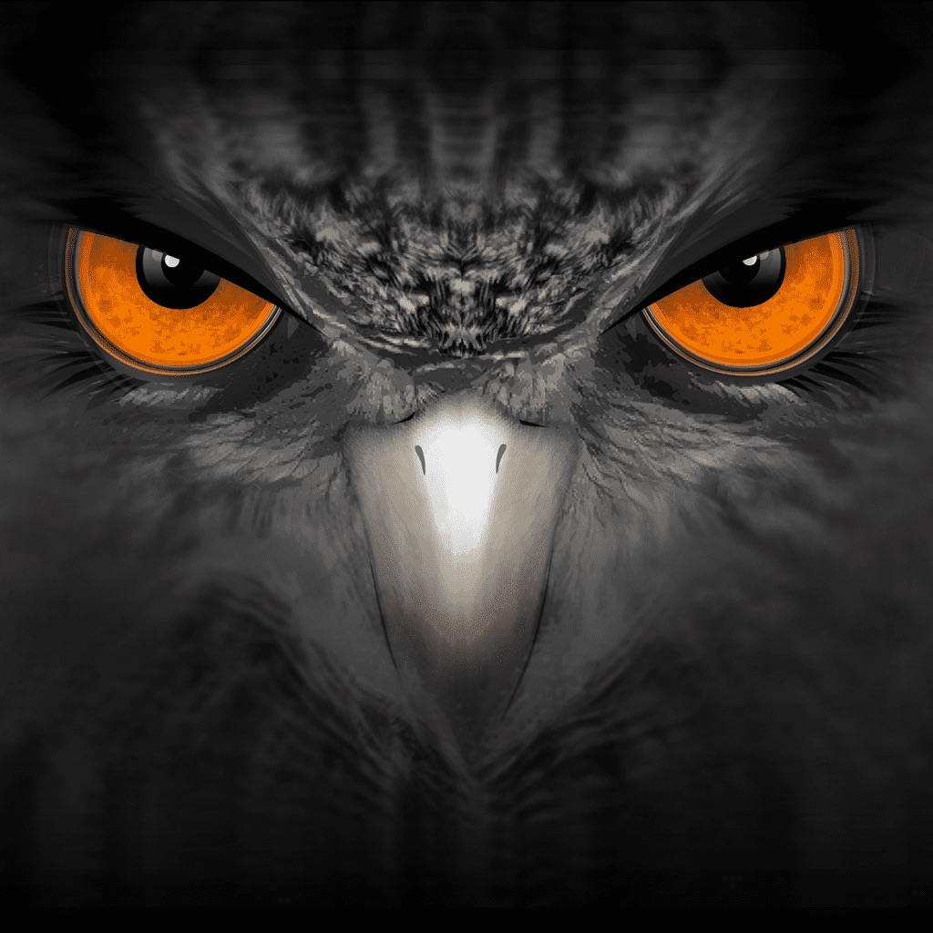 EagleEyes-plus app icon captured 2026-08-13