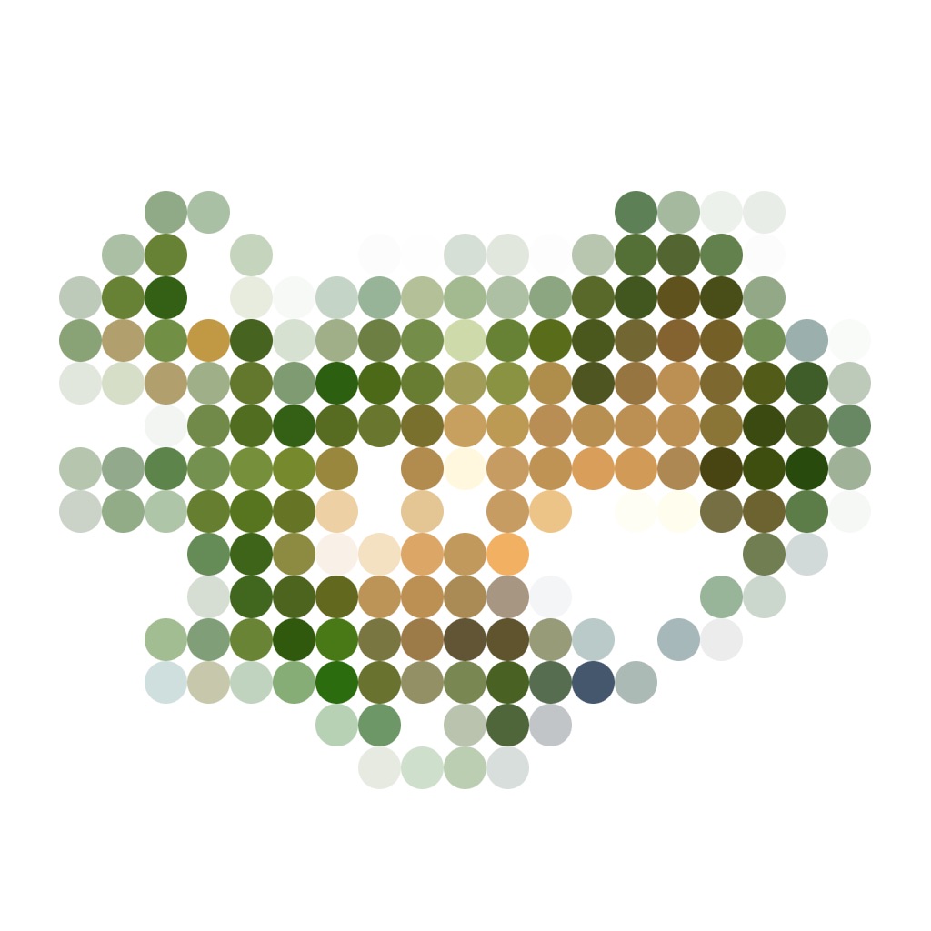 Iceland Visually app icon captured 2026-08-11