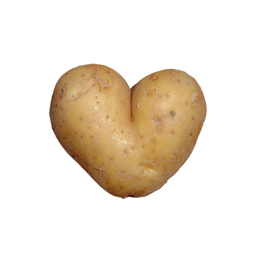 potatium app icon captured 2026-08-12