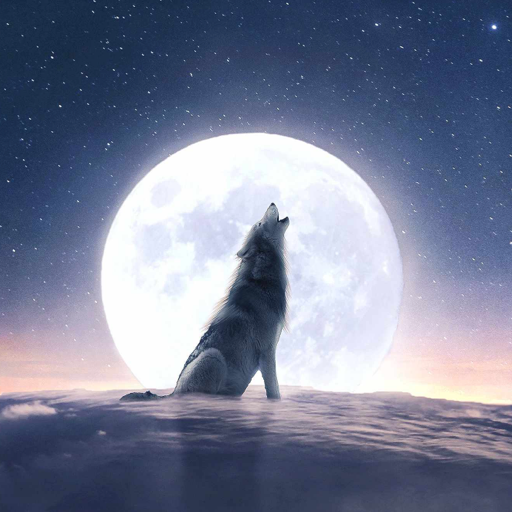 Moonovel-Werewolf Romance Google Play icon captured 2026-08-16