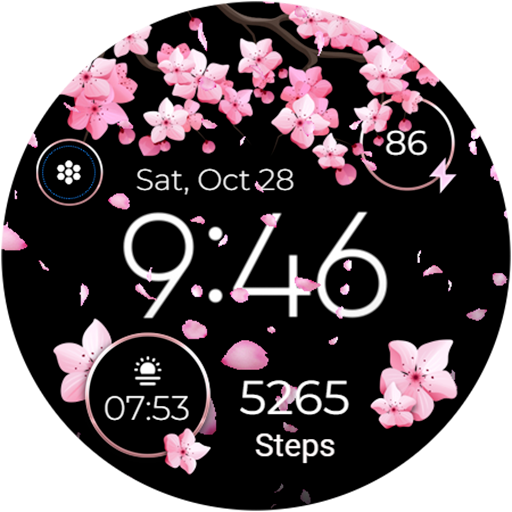 Seasonal Watch - Animated Google Play icon captured 2026-08-13