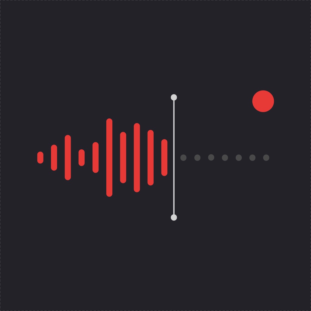 VoiceNotes: Audio Recordings app icon captured 2026-08-14