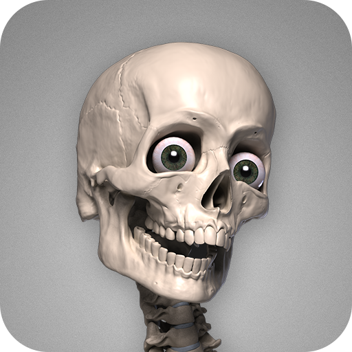 Skelly: Poseable Anatomy Model Google Play icon captured 2026-08-12