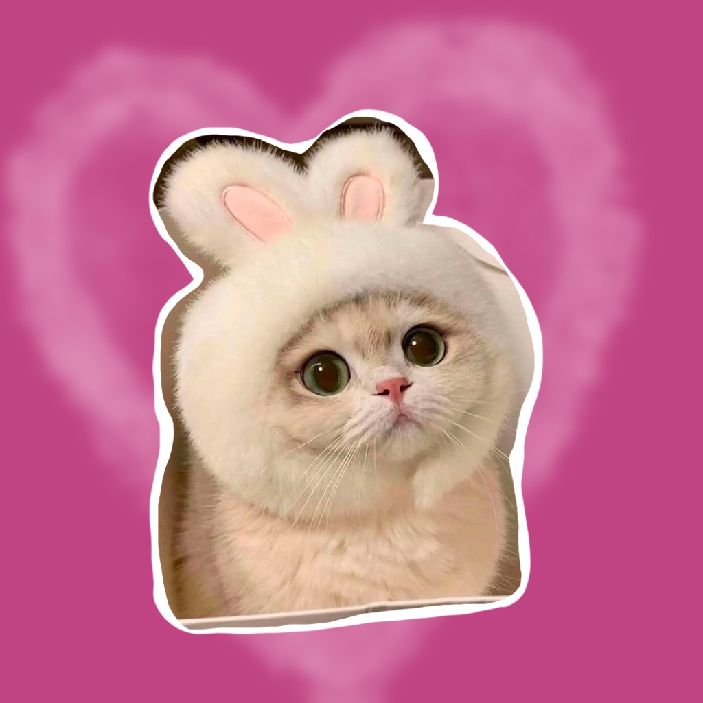 Cute Cat Meme 3 app icon captured 2026-08-12