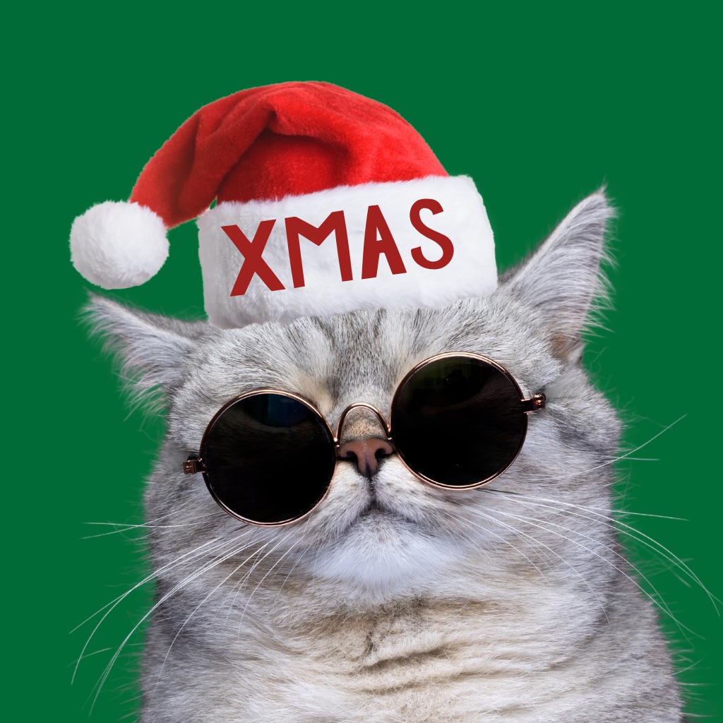 Trendy Stickers for Christmas app icon captured 2026-08-11