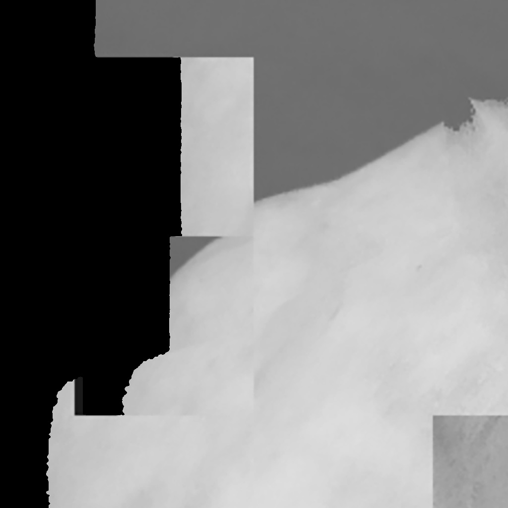 Mono Lab app icon captured 2026-08-11