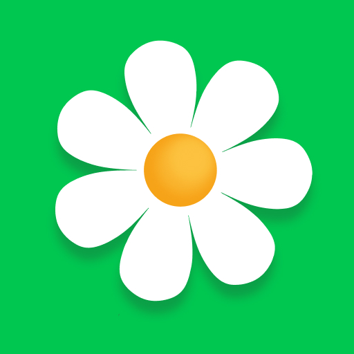 Flor2U: заказ, доставка цветов Google Play icon captured 2026-08-16