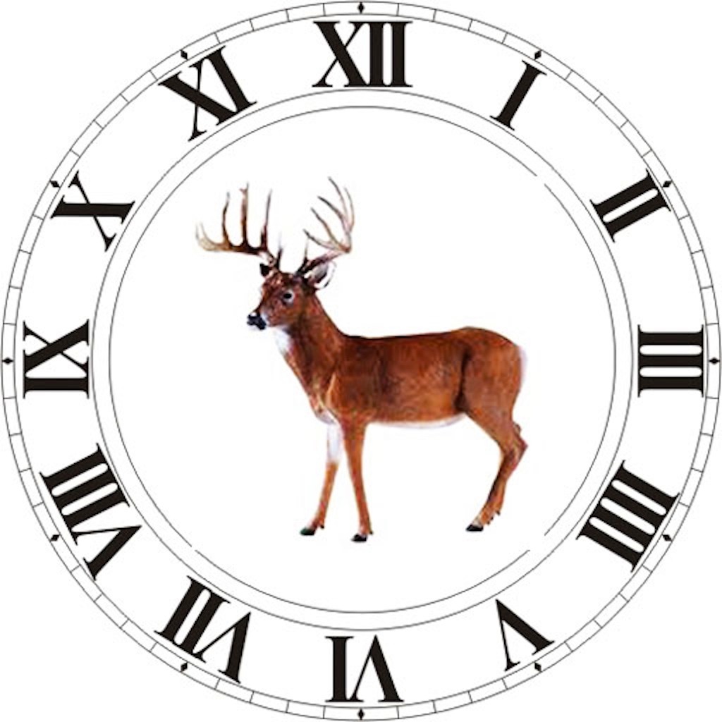 Best Hunting Times app icon