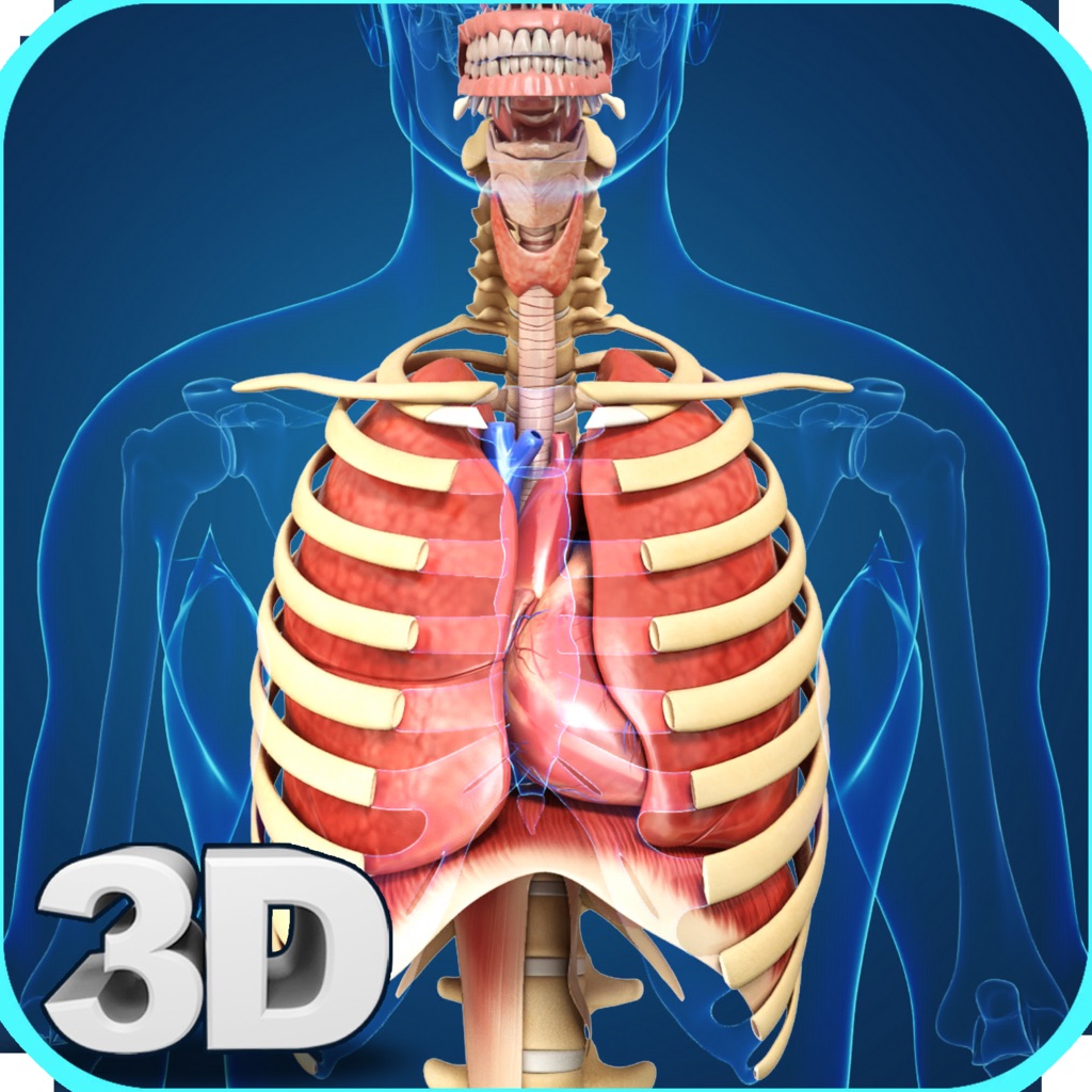 My Respiratory System Anatomy app icon captured 2026-08-12
