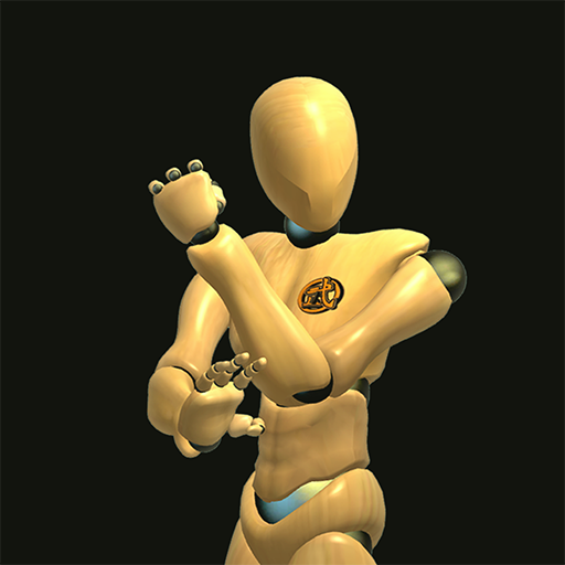 Wing Chun Trainer app icon captured 2026-08-18