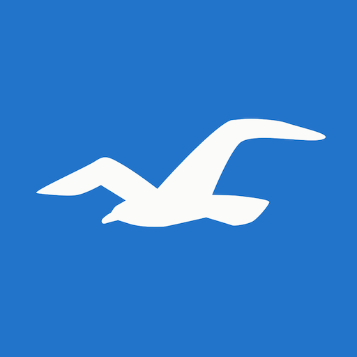 Hollister Co. Google Play icon captured 2026-08-12