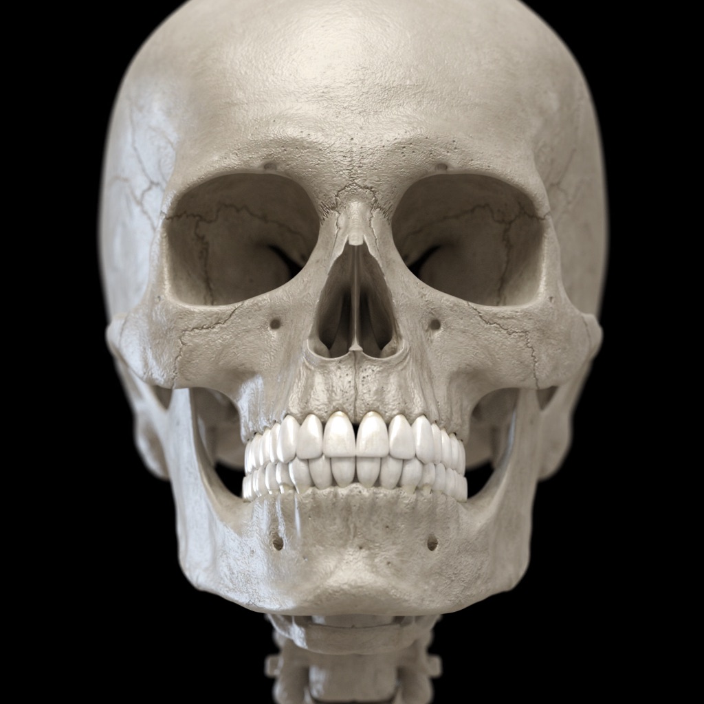 Esqueleto Anatomia 3D app icon captured 2026-08-14