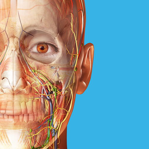 Human Anatomy Atlas 2026 Google Play icon captured 2026-08-13