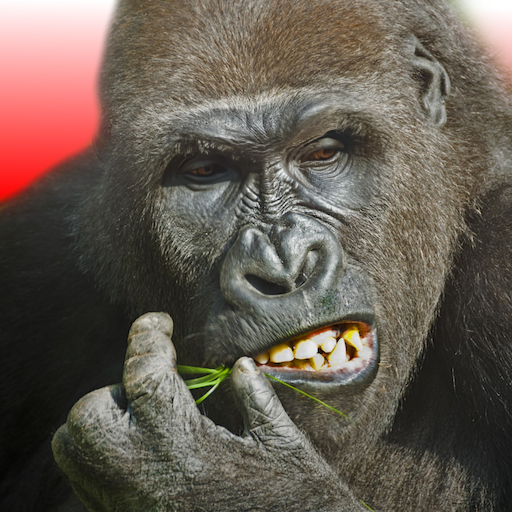 Flying Gorilla: Endless Runner app icon captured 2026-08-18
